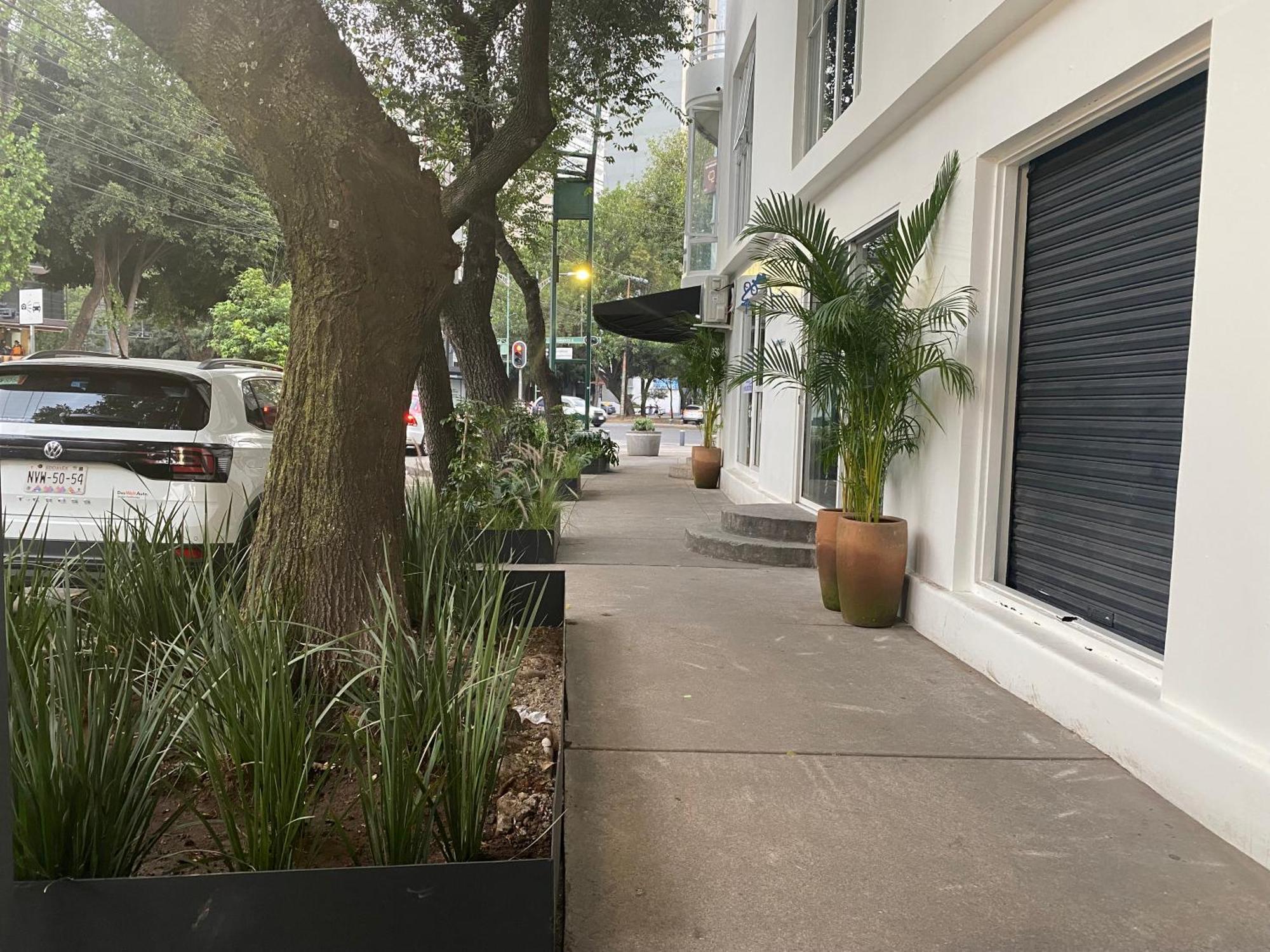 Casa Corp Boutique Suites In Condesa Ciudad de México Exteriér fotografie